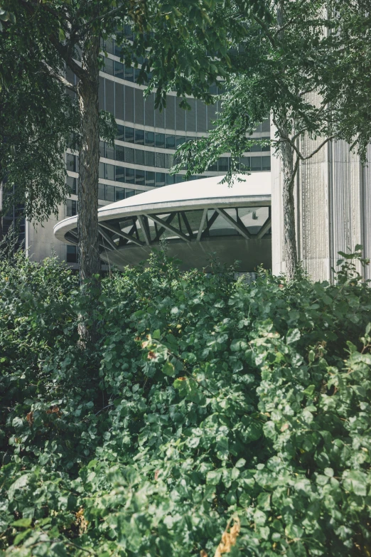 a tall building sitting next to a lush green forest, a colorized photo, brutalism, toronto city, rounded roof, parliament, covered in plants