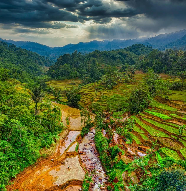 a river running through a lush green valley, by Jesper Knudsen, pexels contest winner, sumatraism, rice paddies, thumbnail, rain lit, vibrant vivid colors