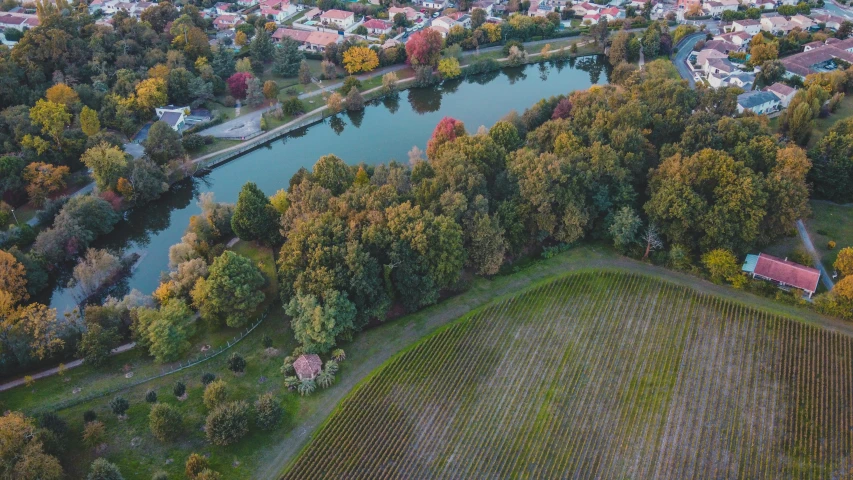 a river running through a lush green countryside, a tilt shift photo, by Bernard D’Andrea, pexels contest winner, les nabis, wine, in a park and next to a lake, autum, drone photograpghy