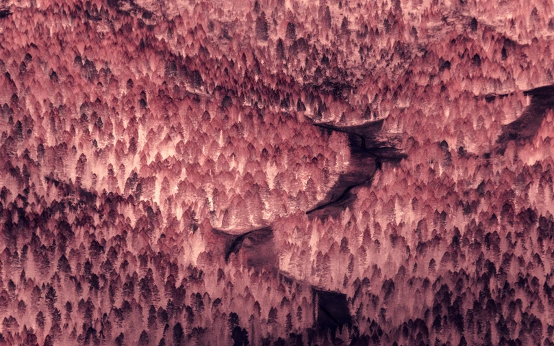 a close up of a mountain covered in trees, inspired by Mikalojus Konstantinas Čiurlionis, unsplash contest winner, generative art, the walls are pink, high detailed thin stalagtites, infrared camera view from bomber, redwood sequoia trees