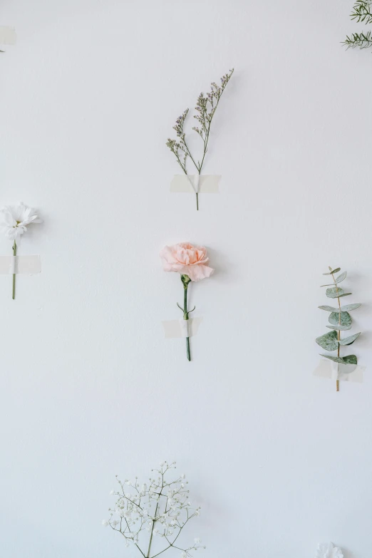 a wall that has a bunch of flowers on it, trending on unsplash, romanticism, white minimalistic background, glass flowers, botanical herbarium paper, multiple stories