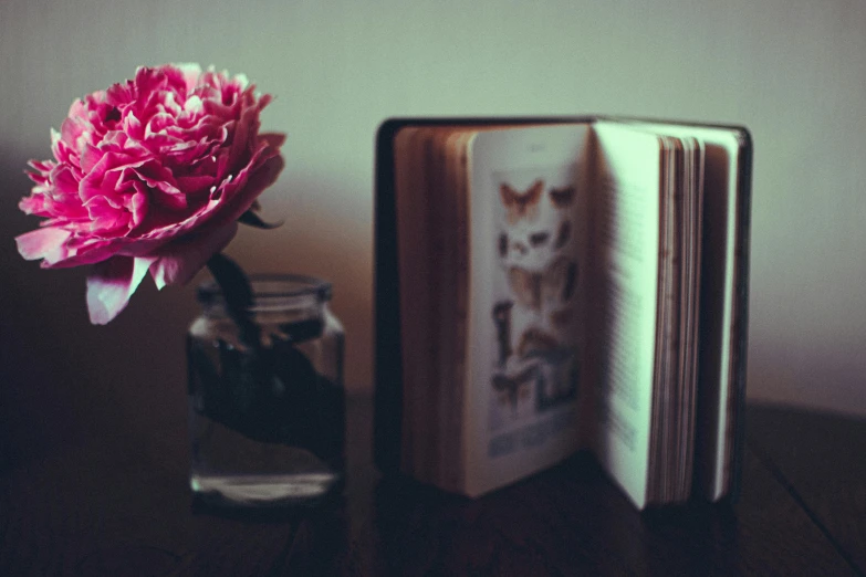 a book sitting on top of a table next to a flower, pexels contest winner, romanticism, peony, grainy photo, small library, posing