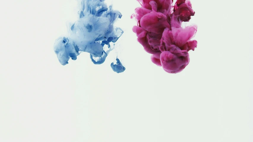 blue and pink ink in water against a white background, pexels, payne's grey and venetian red, male and female, 2 colour print, coloured