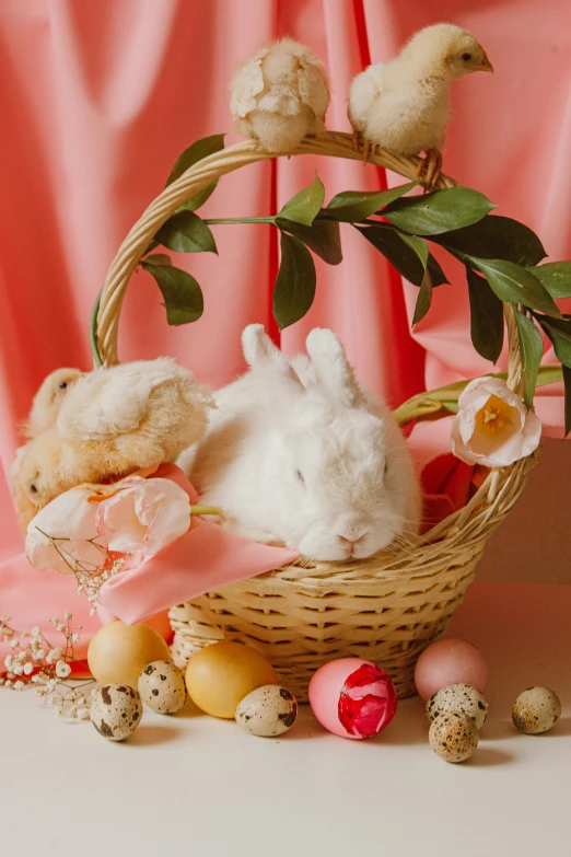 a basket filled with stuffed animals and eggs, bad bunny, photo of a beautiful, blush, shot with premium dslr camera