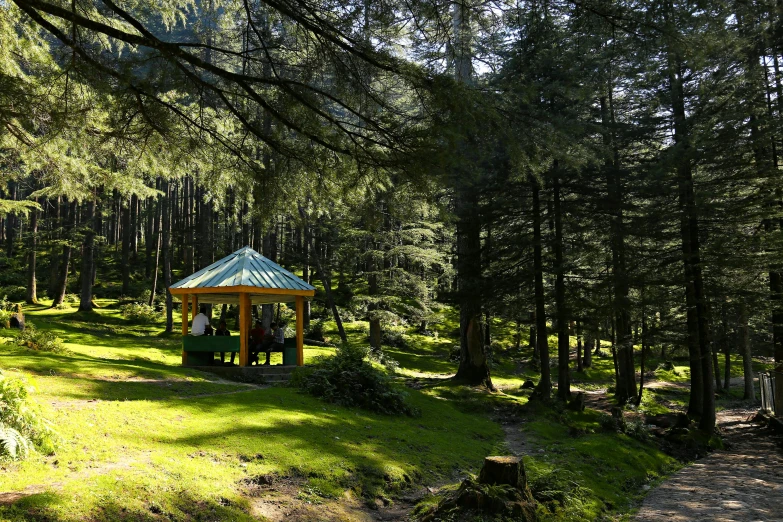 a gazebo sitting in the middle of a forest, uttarakhand, fan favorite, fir forest, listing image