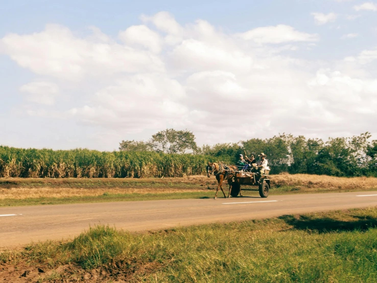 a couple of people riding on the back of a horse drawn carriage, by Pamela Ascherson, unsplash, mingei, cuban setting, farmland, wide screenshot, on the side of the road