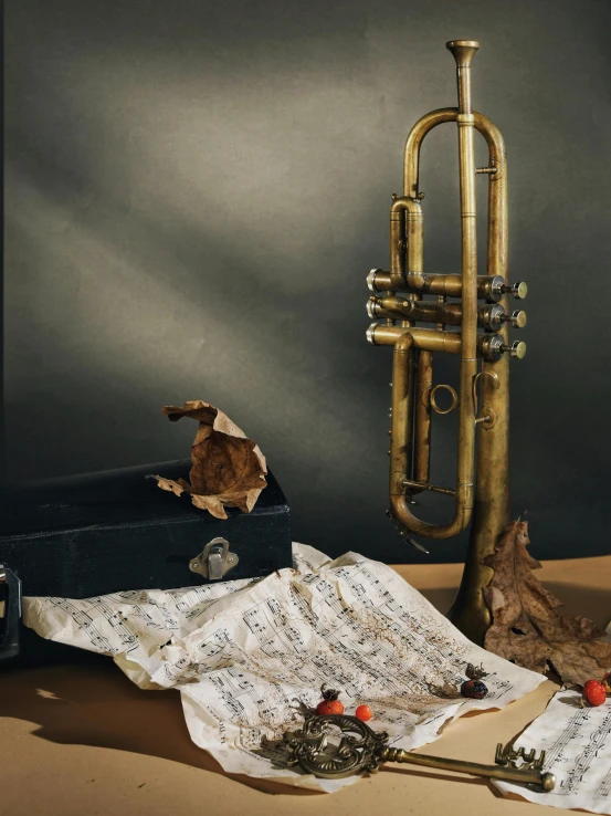 a trumpet sitting on top of a wooden table, an album cover, inspired by William Harnett, pexels contest winner, hyperrealism, brass debris, neo rauch and nadav kander, dressed in a worn, hey