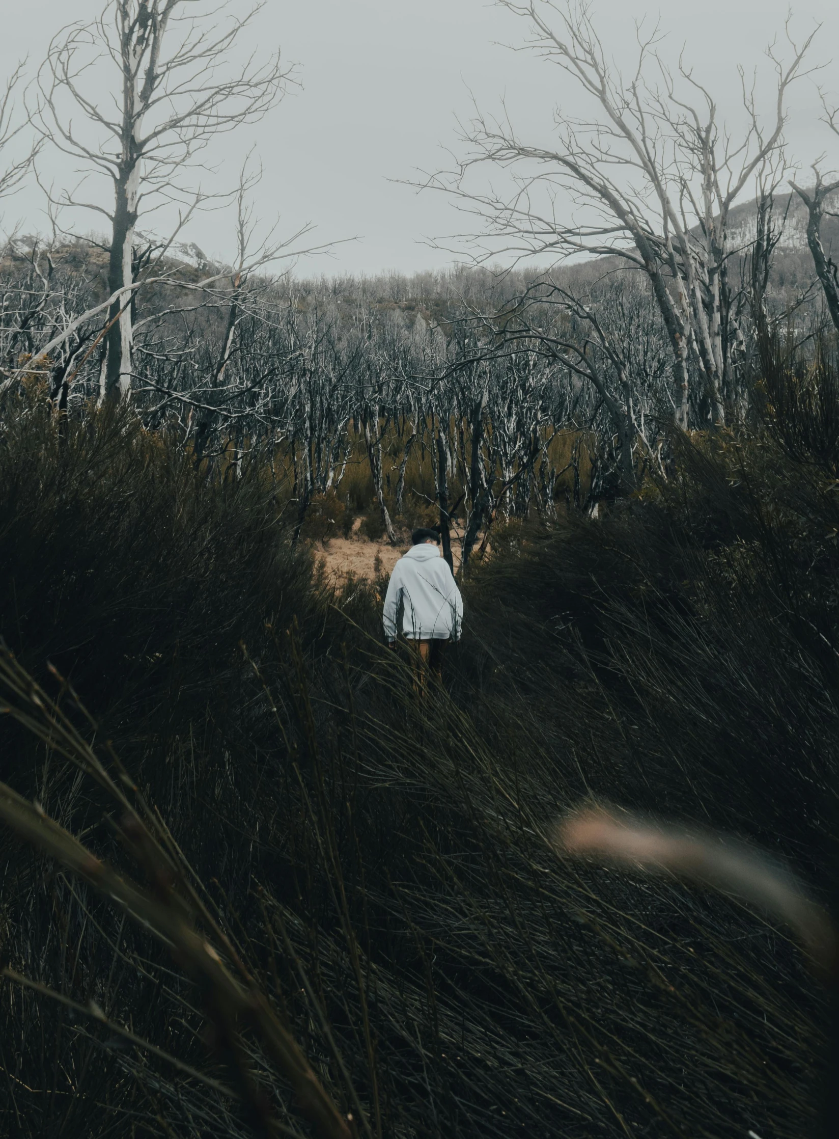 a person walking through a field of tall grass, inspired by Elsa Bleda, unsplash contest winner, australian tonalism, stood in a spooky forest, solo hiking in mountains trees, a very sad man, without text