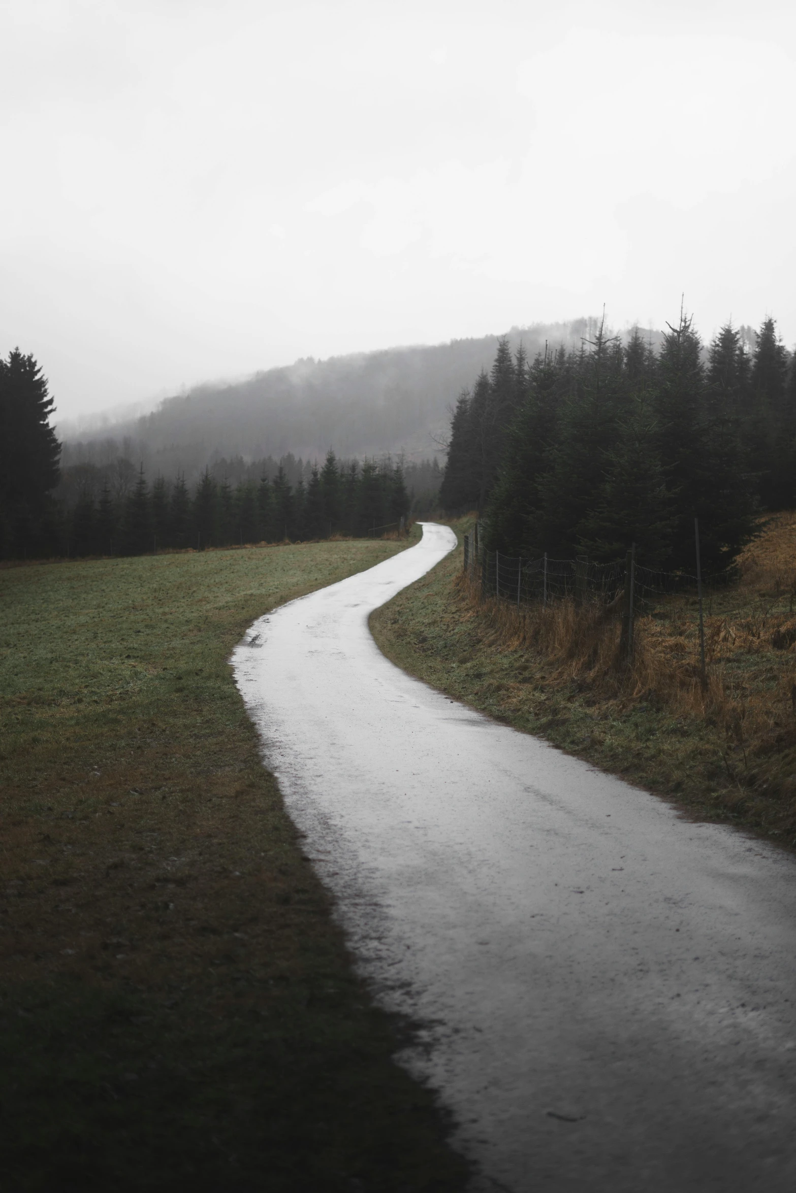 a black and white photo of a winding road, by Matej Sternen, unsplash, gloomy colors, rainy; 90's photograph, near forest, black forest