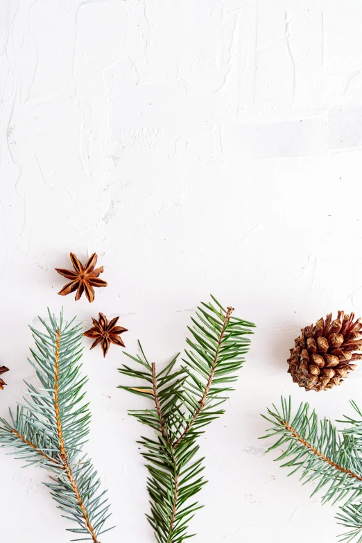 pine branches, cones and star anise on a white background, inspired by Ernest William Christmas, trending on pexels, thumbnail, crisp image, multiple stories, recipe