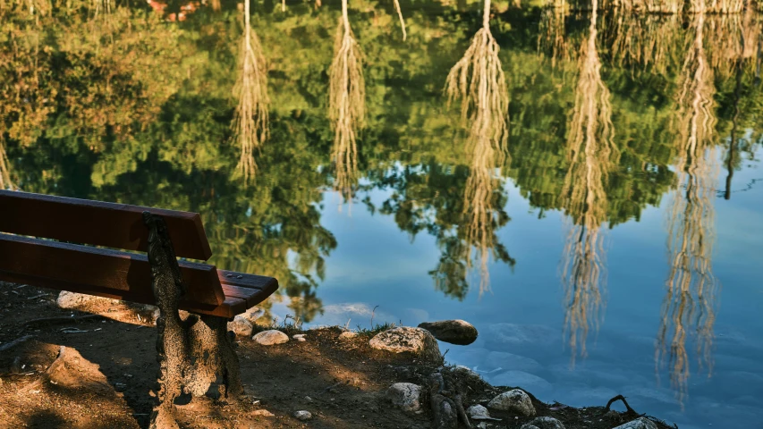 a wooden bench sitting next to a body of water, by Elsa Bleda, pexels contest winner, hurufiyya, reflections. shady, fishing, hanging trees, sittin