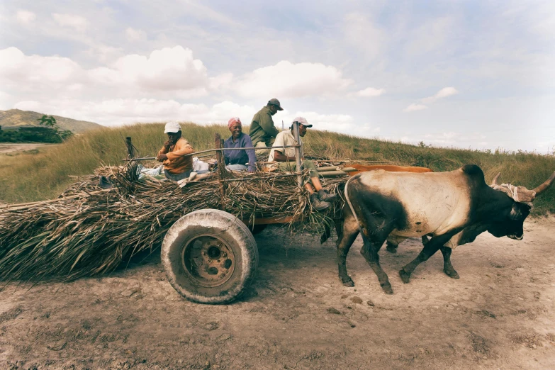 a group of people riding on the back of a cart, unsplash, hay, cuban setting, muck, bulky build