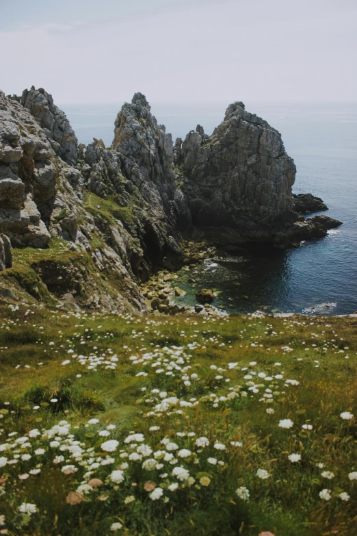 a large body of water sitting on top of a lush green hillside, a picture, by Raphaël Collin, unsplash, romanticism, rocky coast, overgrown with flowers, asymmetrical spires, nordic folk