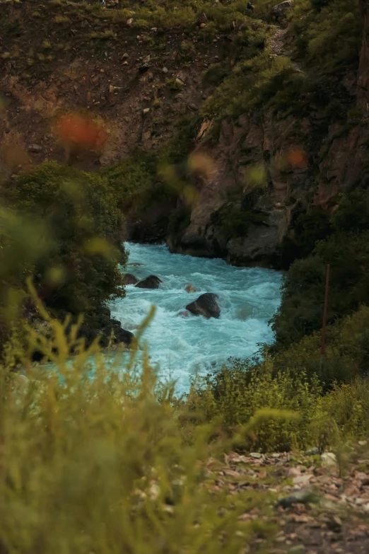 a river running through a lush green forest, hurufiyya, blue glacier, in the evening, white water rapids, up-close