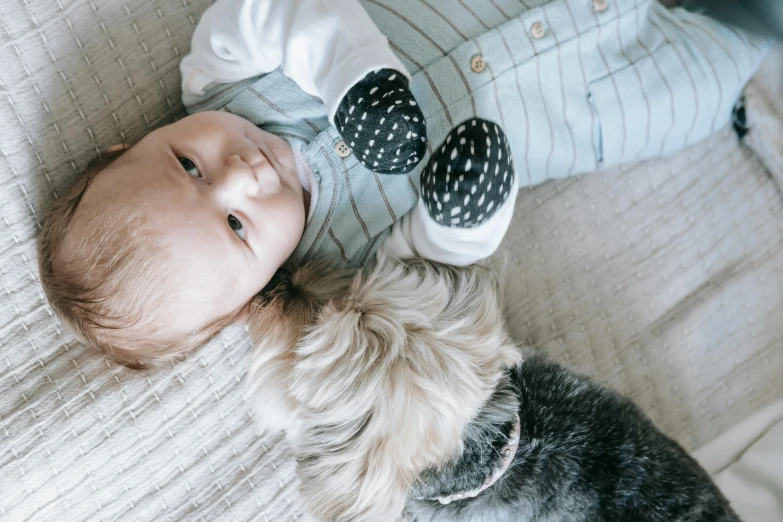 a baby laying on a couch next to a dog, pexels contest winner, looking down from above, fashionable, bedhead, thumbnail