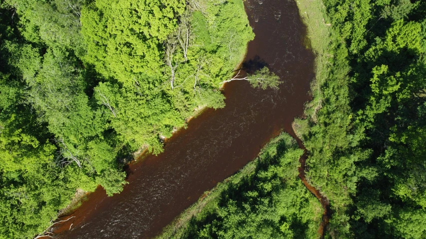 a river running through a lush green forest, red iron oxide, oil spill, iu, flying shot