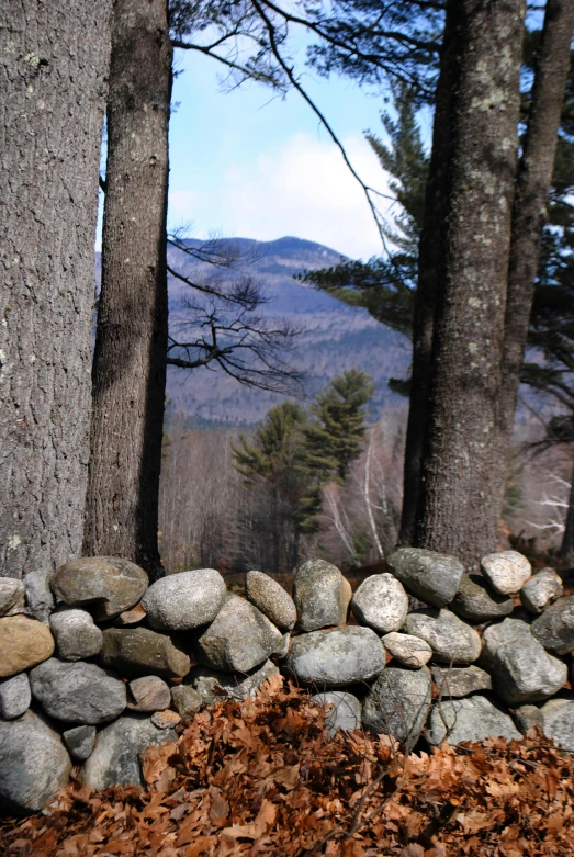 a fire hydrant sitting on top of a pile of leaves, a picture, by Andy Goldsworthy, land art, tall mountains in the horizon, detailed fences and stone walls, new hampshire mountain, gray stone wall