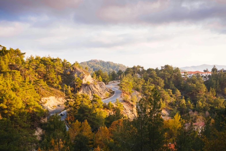 a scenic view of a winding mountain road, les nabis, in avila pinewood, ochre, grey, vibrant foliage