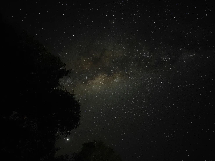 a night sky filled with lots of stars, by Peter Churcher, pexels, with dark trees in foreground, murky dusty deep, medium closeup, southern cross