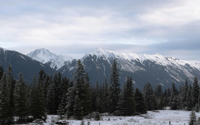 a man riding skis down a snow covered slope, by Brigette Barrager, unsplash, spruce trees on the sides, distant rocky mountains, a cozy, panoramic