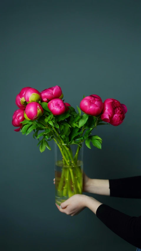 a woman holding a vase filled with pink flowers, a still life, inspired by Ai Weiwei, pexels, on grey background, peony, vibrant colour, festive