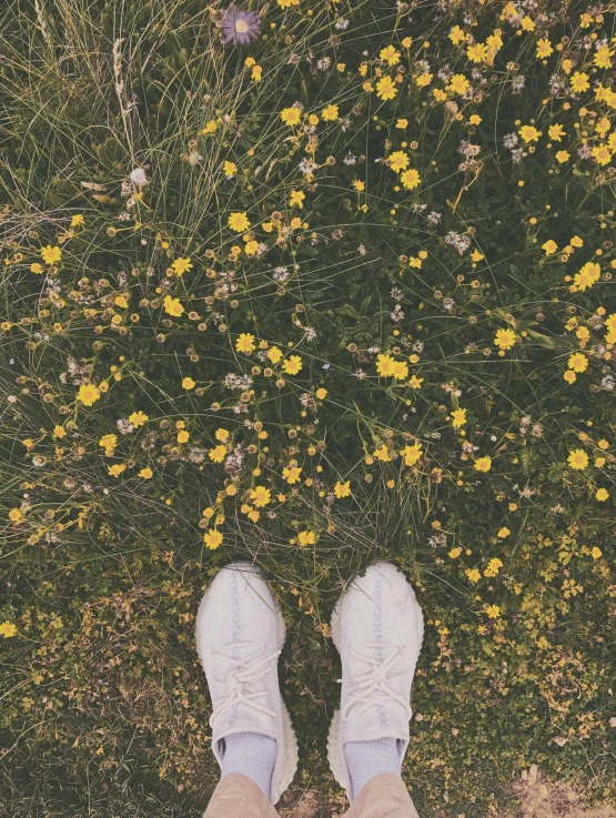 a person standing in a field of yellow flowers, an album cover, by Anna Boch, trending on unsplash, wearing white sneakers, instagram story, high angle shot, 🌸 🌼 💮