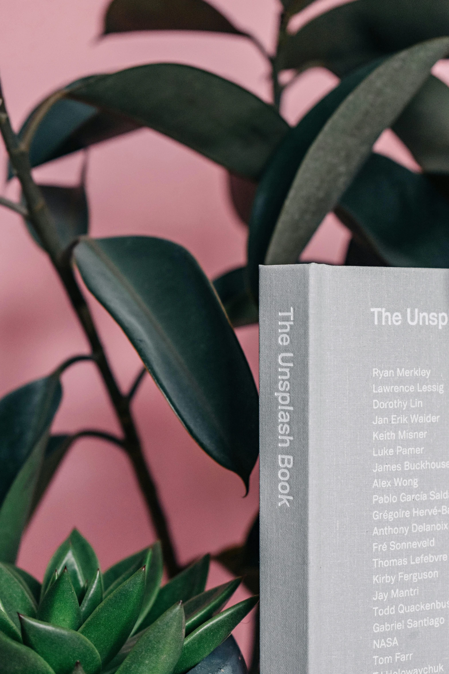 a book sitting on top of a table next to a plant, inspired by Ugo Nespolo, unsplash, happening, product label, ultrafine detail, pink and grey muted colors, the underworld