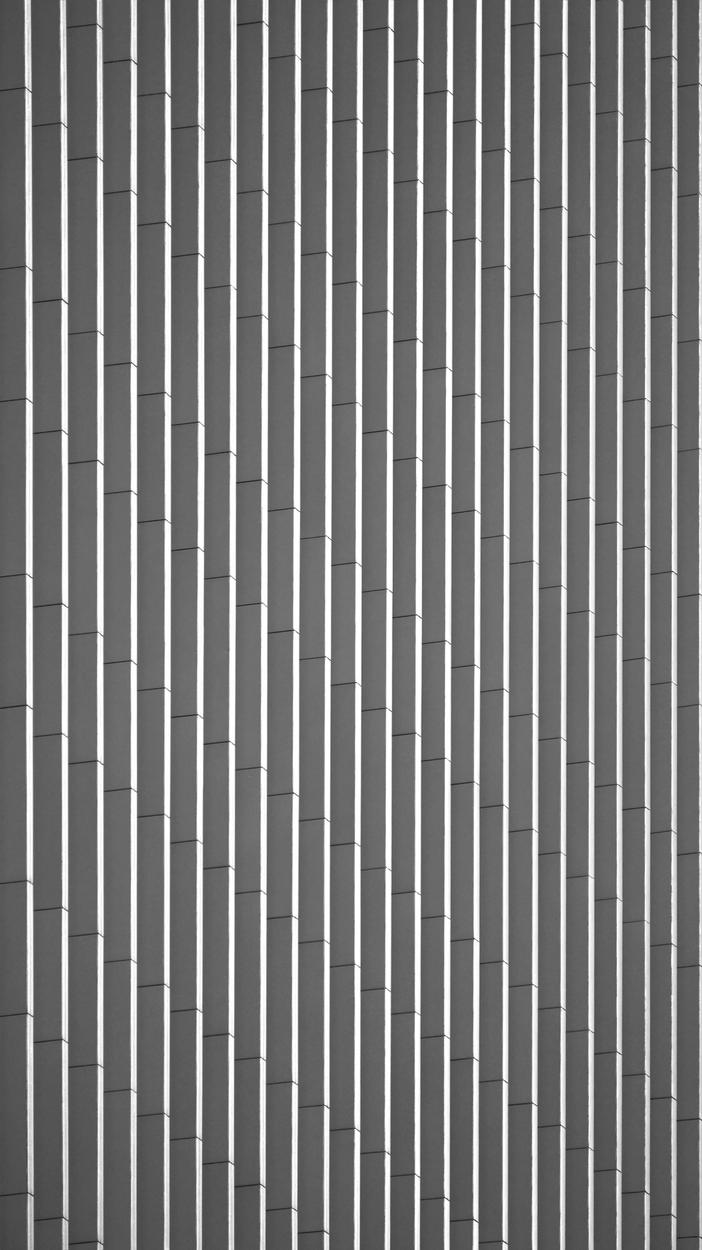 a black and white photo of the outside of a building, an ambient occlusion render, inspired by Ryoji Ikeda, op art, bamboo, solid dark grey background, seamless micro detail, the sims 4 texture