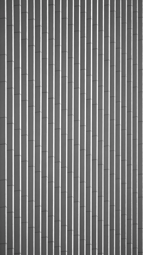 a black and white photo of the outside of a building, an ambient occlusion render, inspired by Ryoji Ikeda, op art, bamboo, solid dark grey background, seamless micro detail, the sims 4 texture