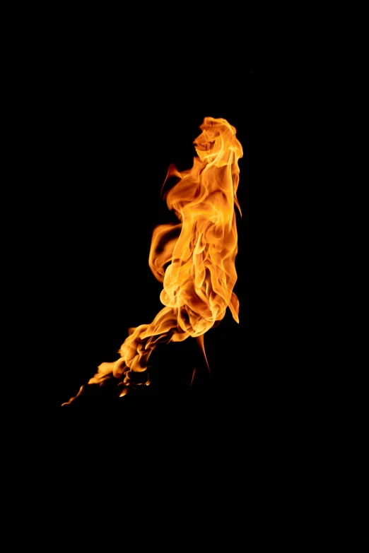 a close up of a fire on a black background, an album cover, pexels, human torch, tall, high quality upload, profile pic