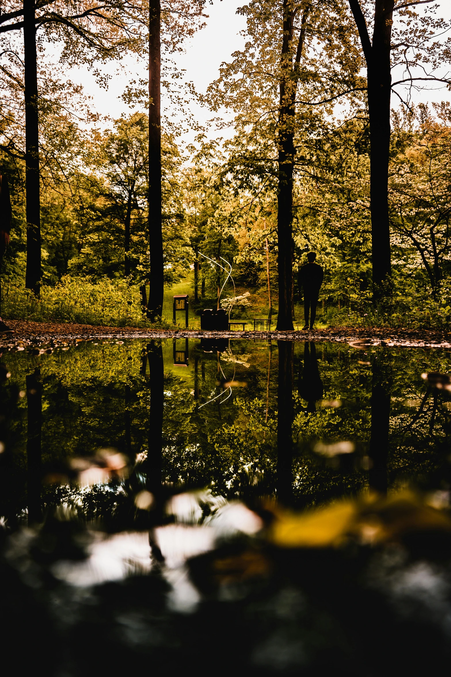 a forest filled with lots of trees next to a body of water, a picture, by Jacob Toorenvliet, pexels contest winner, visual art, wet reflections in square eyes, autum garden, private moment, a wooden