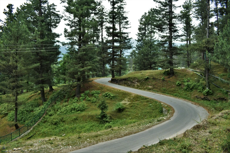 a man riding a motorcycle down a curvy road, hurufiyya, dark pine trees, jk, a wooden, photography”