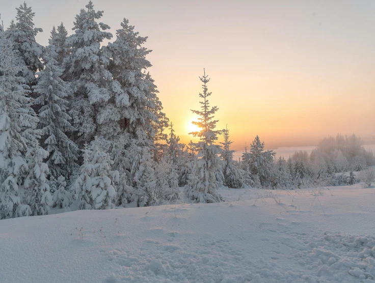 a person riding skis down a snow covered slope, by Veikko Törmänen, pexels contest winner, romanticism, sunset panorama, snow on trees and ground, grey, holiday season