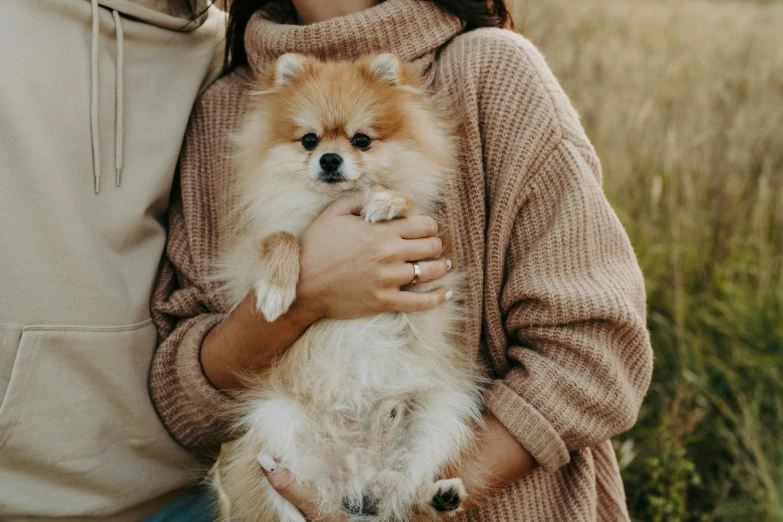 a man and woman holding a dog in a field, trending on pexels, pomeranian, wearing casual sweater, detailed and soft, manuka