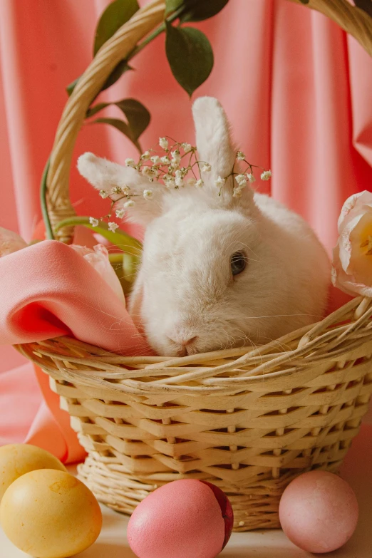 a close up of a basket with a bunny in it, glamour shot, mango, frontal shot, ready