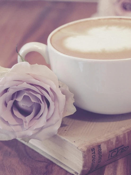 a cup of coffee sitting on top of a book, pastel roses, profile image, multiple stories, vanilla