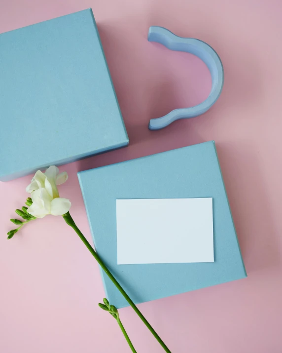 a blue box and a white flower on a pink surface, trending on instagram, greeting card, product view, grey, silicone skin