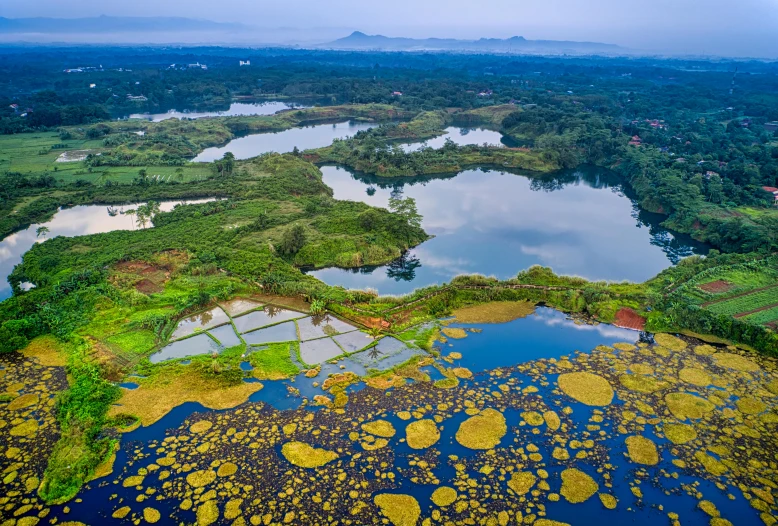 a large body of water surrounded by lush green trees, an album cover, pexels contest winner, hurufiyya, aerial view of an ancient land, lakes, blue and yellow fauna, guwahati