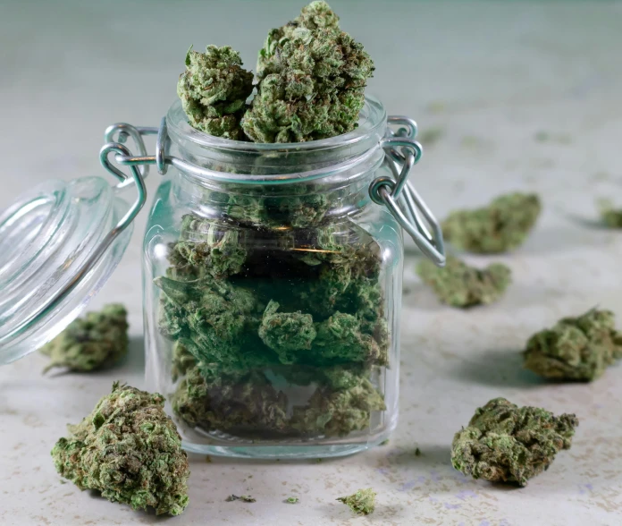 a glass jar filled with green marijuana buds, a portrait, pexels, various posed, shag, contain