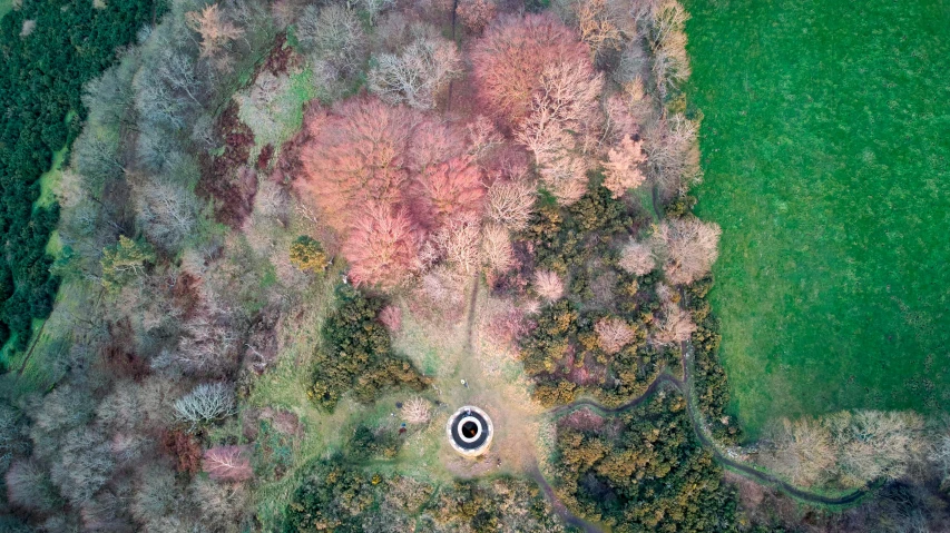 a bird's eye view of a field with trees, an album cover, by Peter Churcher, pexels contest winner, land art, fairy circle, pink water in a large bath, camera obscura, mystical kew gardens