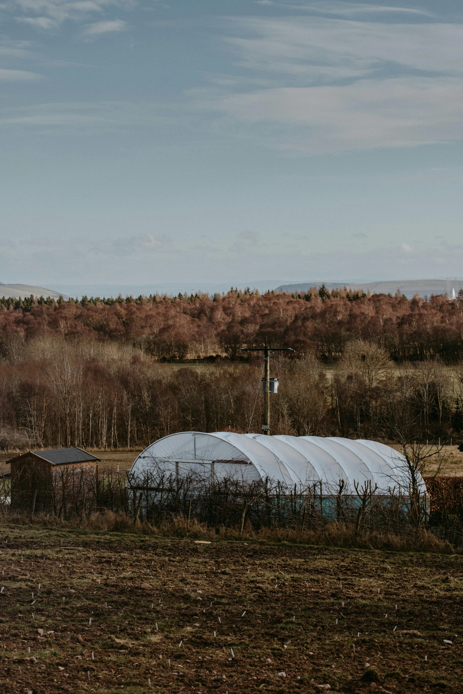 a couple of horses standing next to each other in a field, huge greenhouse, scottish highlands, seen from afar, next to farm fields and trees