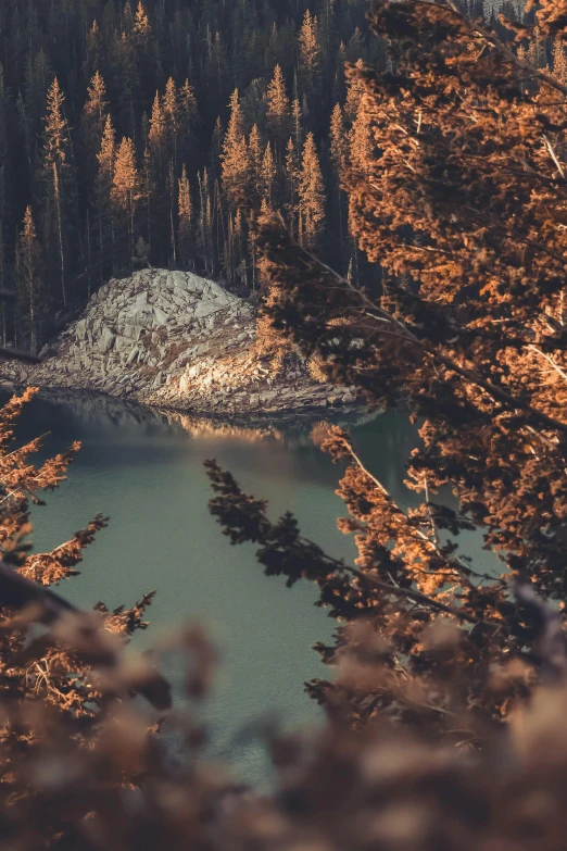 a large body of water surrounded by trees, a picture, inspired by Elsa Bleda, unsplash contest winner, dolomites, gold and teal color scheme, 5 0 0 px, intricate environment - n 9