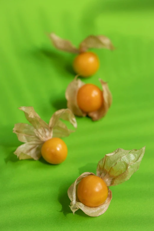a group of fruits sitting on top of a green surface, wearing gilded ribes, made of silk paper, big pods, at full stride