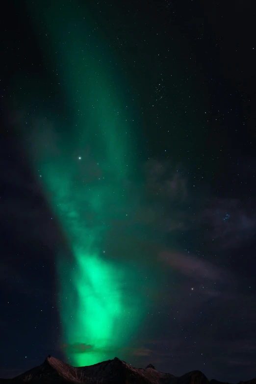 the aurora bore lights up the night sky, by Ejnar Nielsen, pexels contest winner, closeup!!!!!, avatar image, profile picture 1024px, big nebula as clover