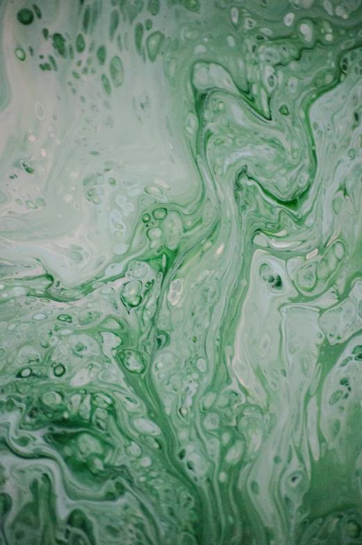 an abstract painting of green and white paint, a detailed painting, reddit, in liquid, ilustration, medium closeup, made of liquid