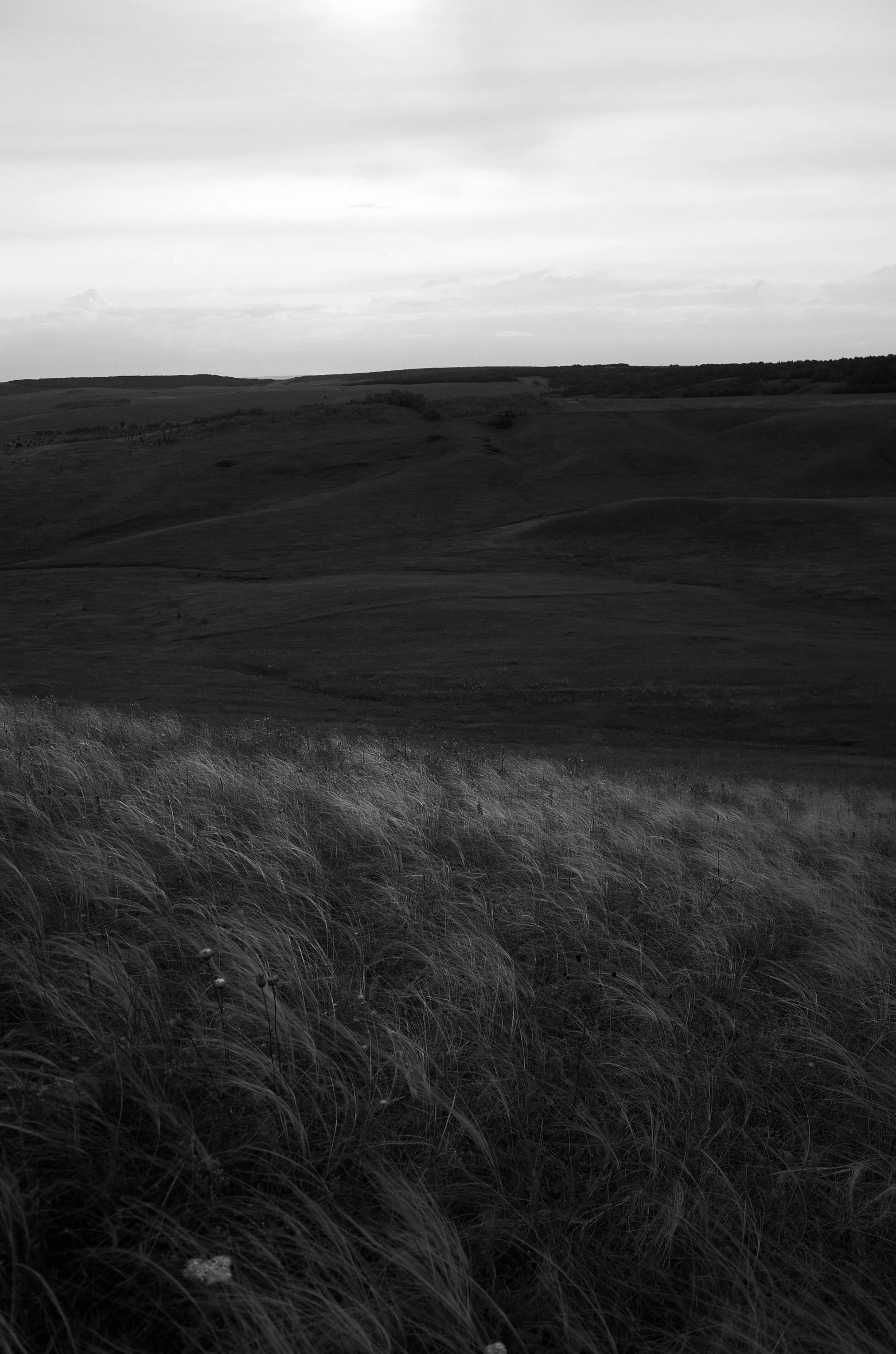 a black and white photo of a field, by Ian Fairweather, tonalism, grassy hill, cliff side at dusk, medium format. soft light, marsden