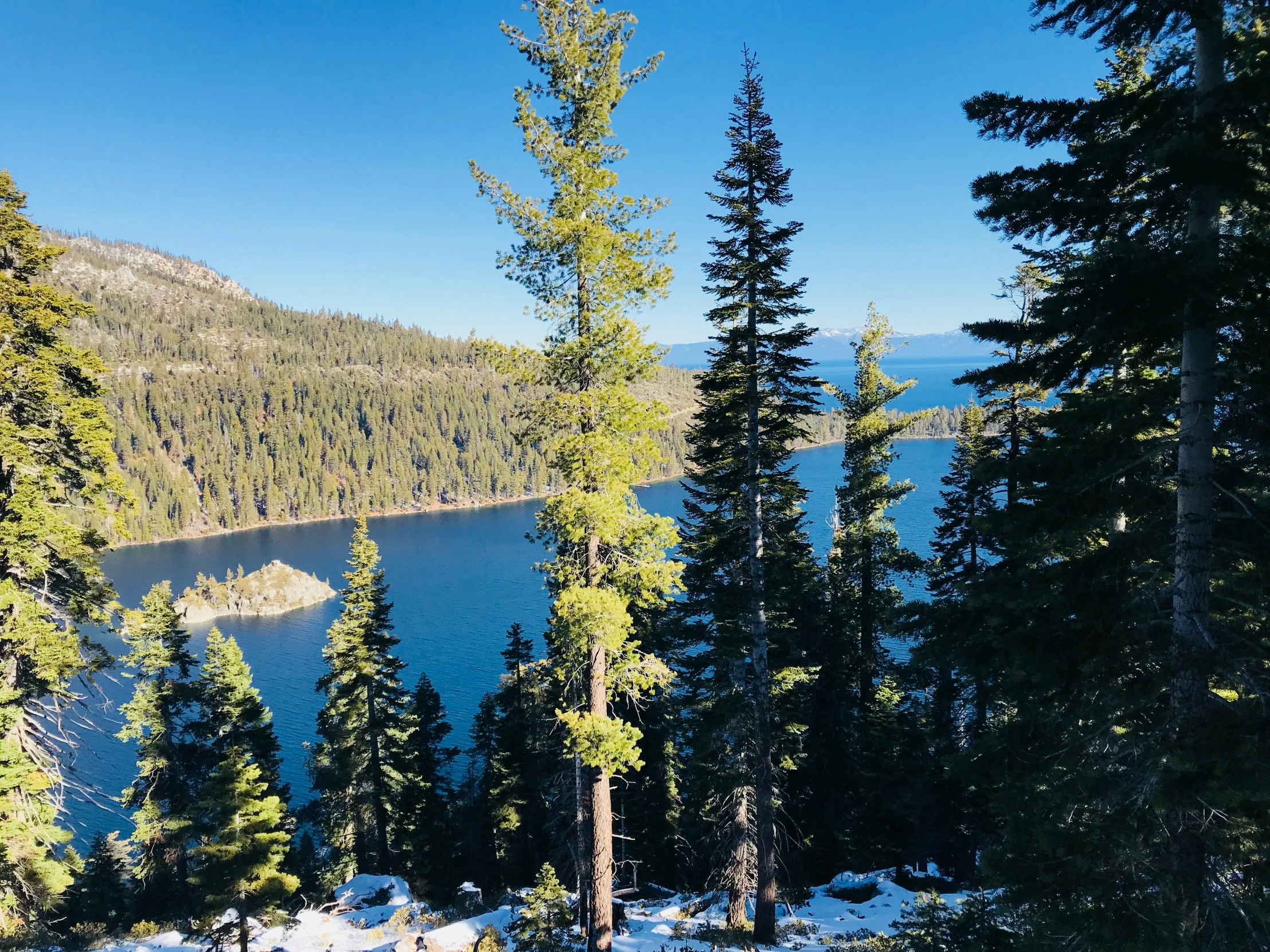 a large body of water surrounded by trees, by Whitney Sherman, unsplash, hurufiyya, obsidian towers in the distance, pine tree, 2000s photo, conde nast traveler photo