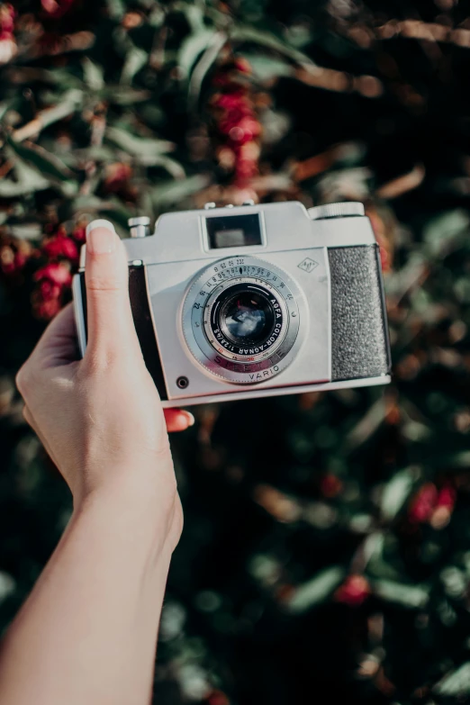 a person holding a camera in front of a bush, a picture, flatlay, lovingly looking at camera, silver nitrate photography, ecommerce photograph