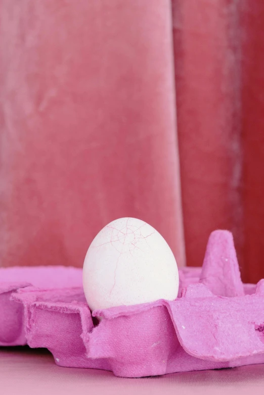 a white egg sitting on top of an egg carton, an abstract sculpture, inspired by Luma Rouge, happening, brightly lit pink room, detail shot, velvet, detailed product image