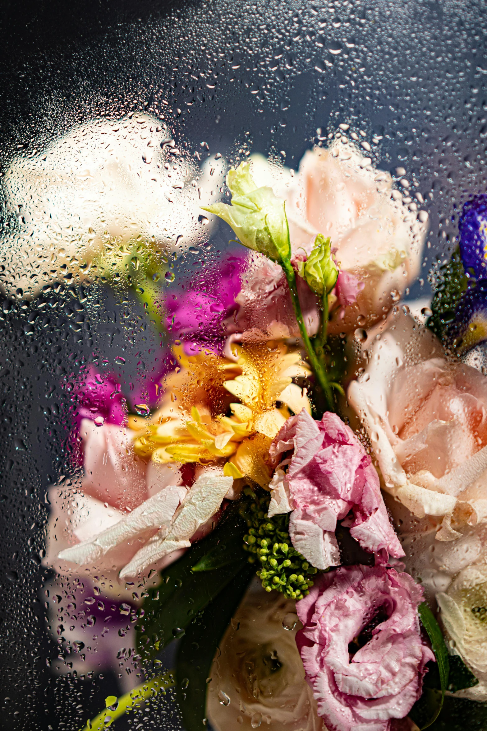 a bunch of flowers that are sitting in a vase, a still life, inspired by François Boquet, trending on unsplash, romanticism, covered in water drops, detail shot, battered, multicoloured